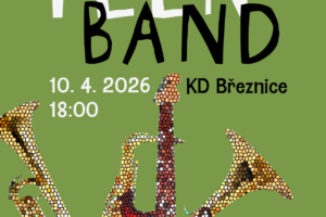 web_Teen Band ZUŠB2026 (1)